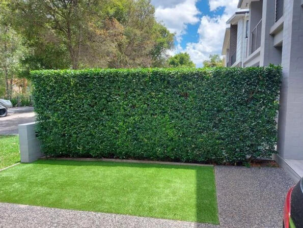 Hedge Trimming