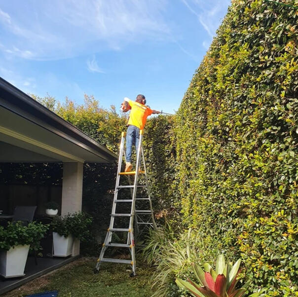 Hedge Trimming