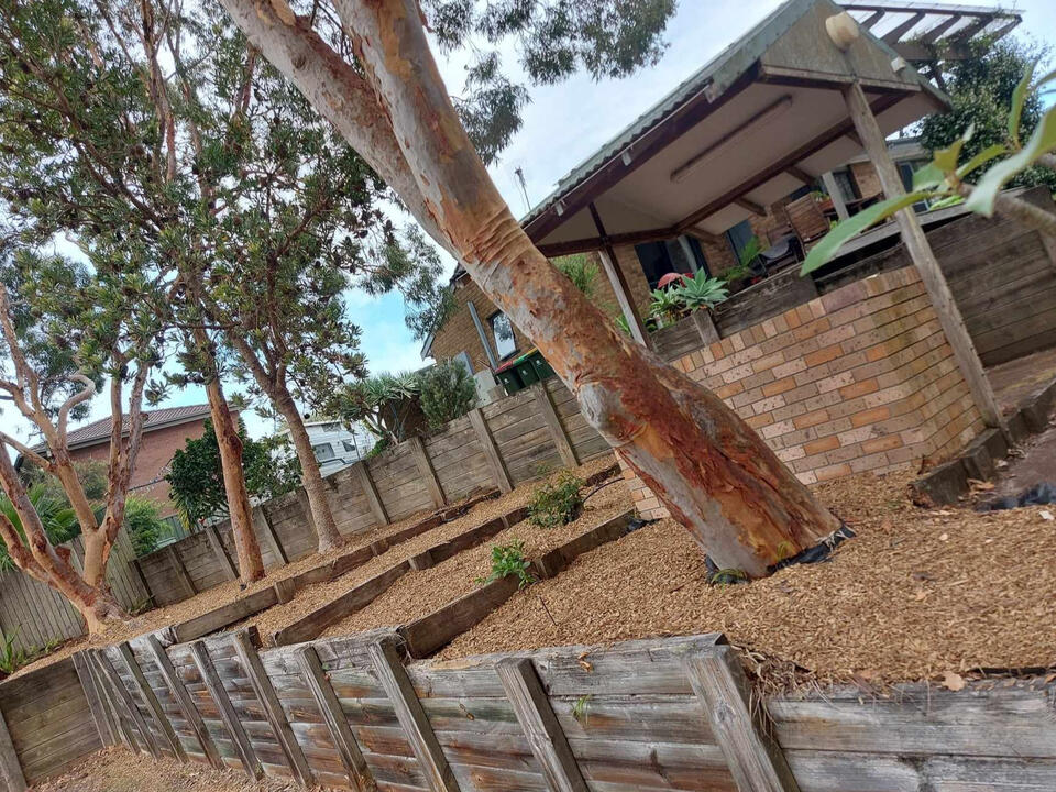 Garden Makeover After